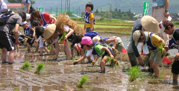 早苗饗祭（さなぶりさい） 同時開催 田植え選手権&泥んこレース